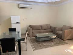 1 BHK Fully Furnished With Bills Included 0