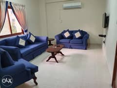 Fully Furnished 2bedroom in Mansoura 0