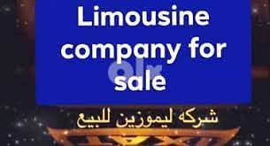 Limousine Company for sale 0