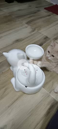 Ceramic drinking water fountain for cats 0