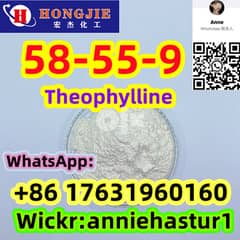 58-55-9,Theophylline,Etizolam