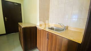 1 Bhk apartment for rent at Old Airport 0