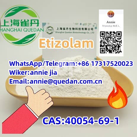 Good quality Etizolam cas:40054-69-1 - Birds - 120073520
