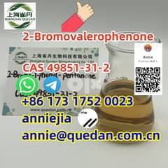 Good quality 2-Bromovalerophenone CAS 49851-31-2 0