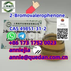 Good quality 2-Bromovalerophenone CAS 49851-31-2 0