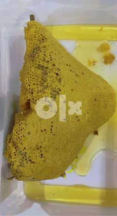 Natural Honey comb for sell 0