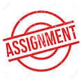 Assignment Writing MBA 0